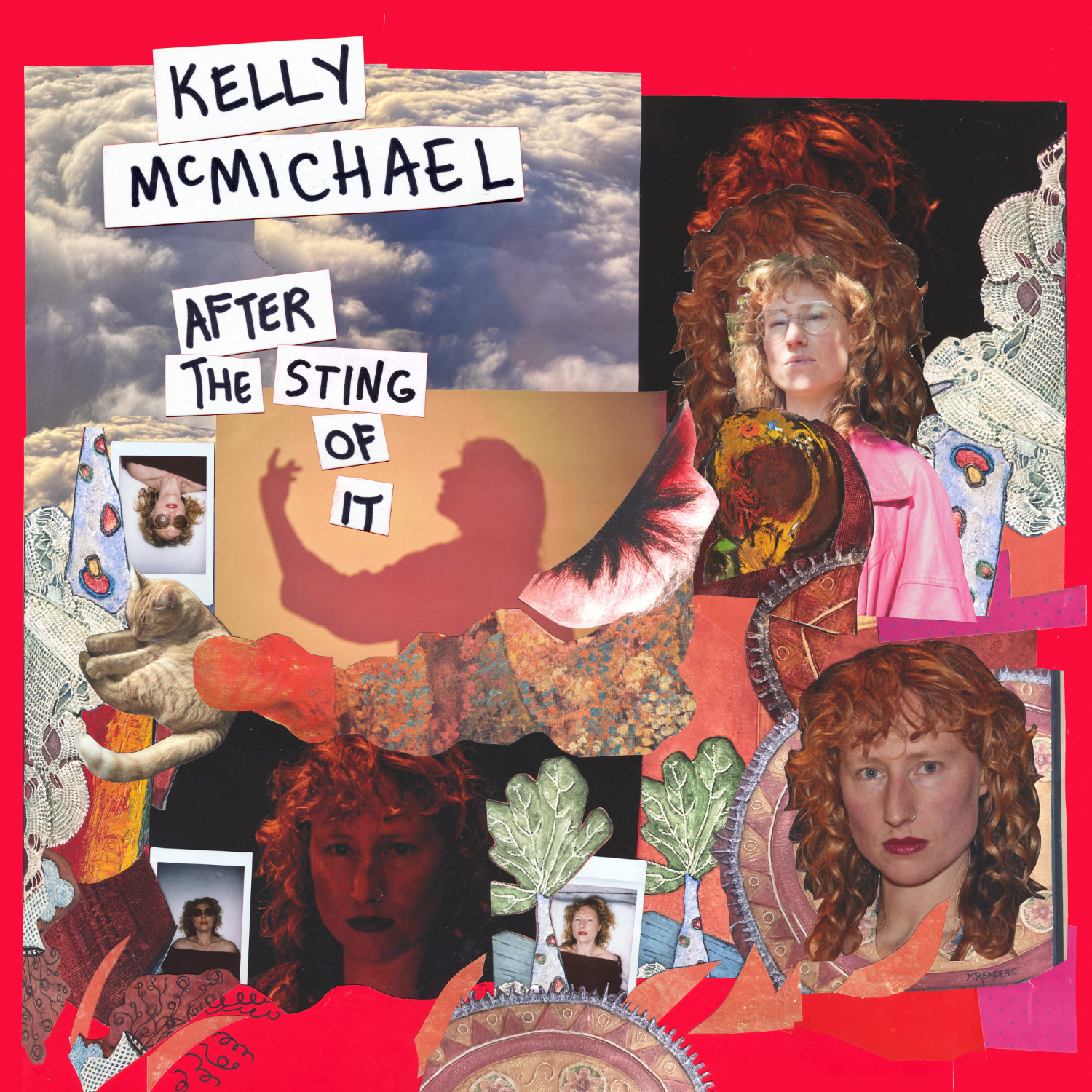 Kelly McMichael - After the Sting of It