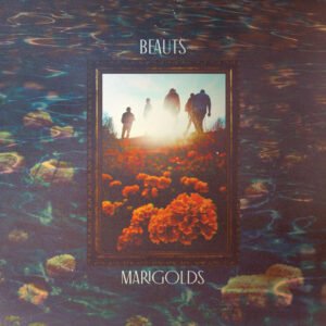 Beauts - Marigolds